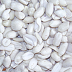 Blanched peanut kernels